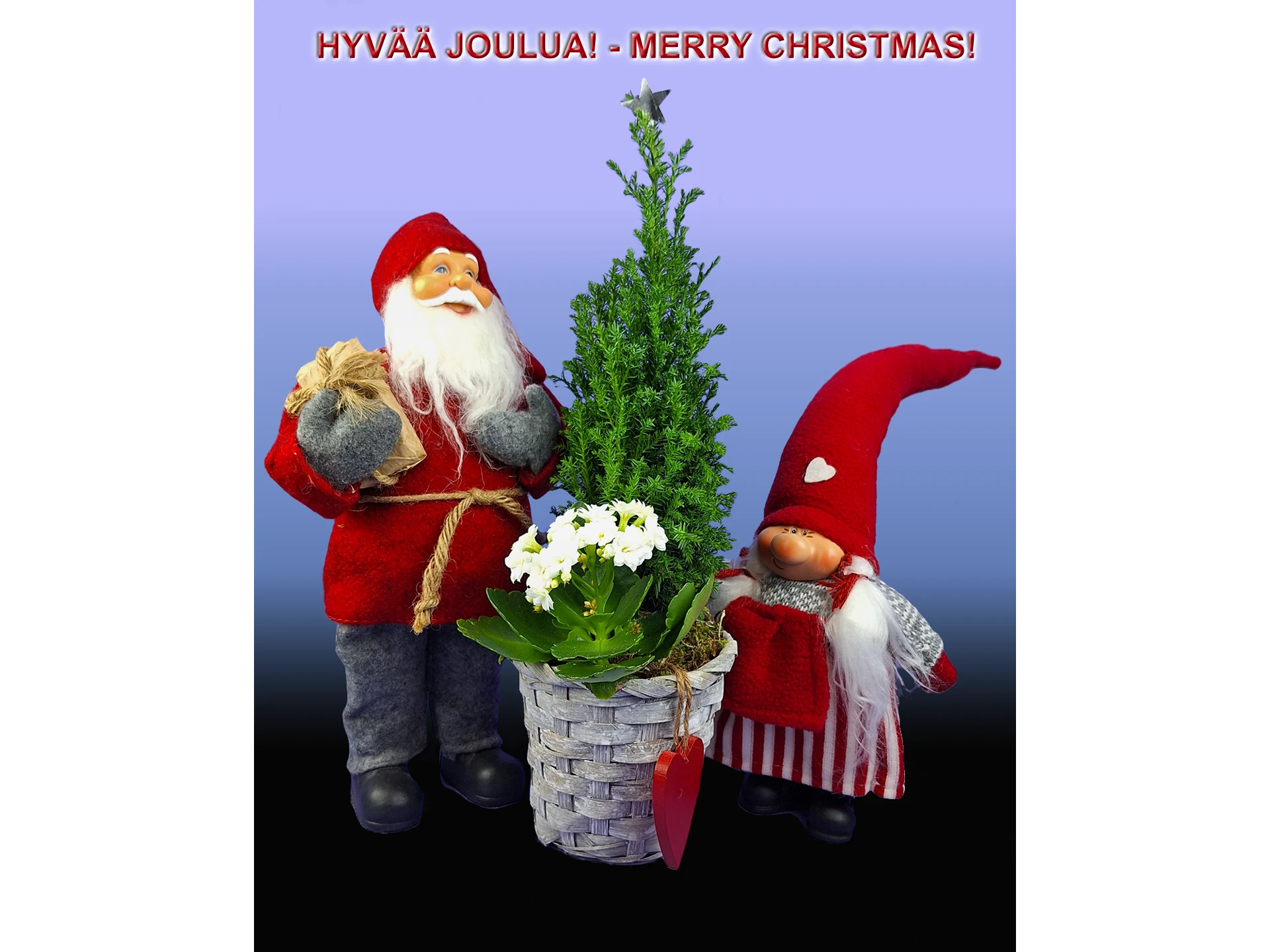 Jouluasetelma: pieni joulukuusi ruukussa, molemmin puolin joulupukki ja tonttu, taustana sinisestä mustaan liukuva gradientti, lisätty teksti Hyvää Joulua - Merry Christmas.